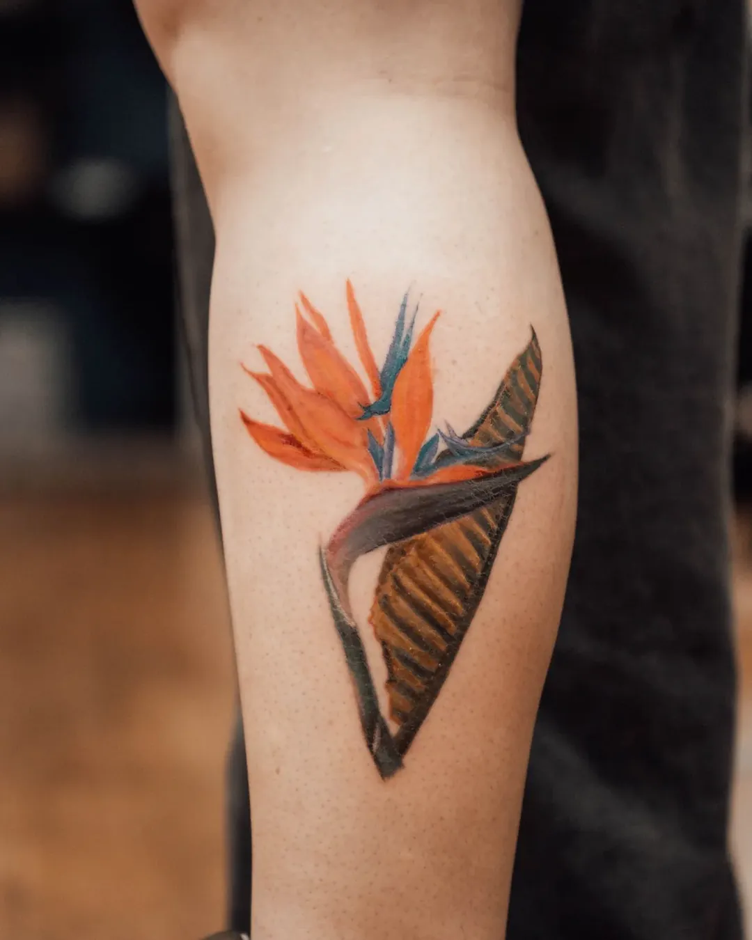 Ave-do-paraíso colorida tatuada na panturrilha, trabalho da aluna Isis na The VOID