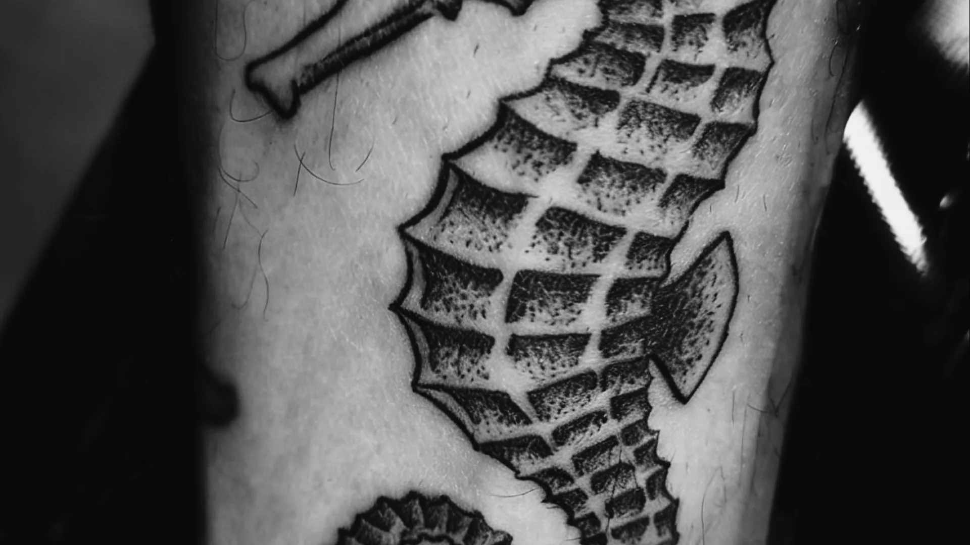 Cavalo-marinho pontilhado em blackwork tatuado no braço, preto e cinza de alto contraste