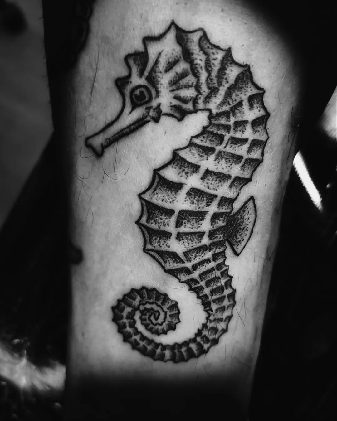 Cavalo-marinho pontilhado em blackwork tatuado no braço