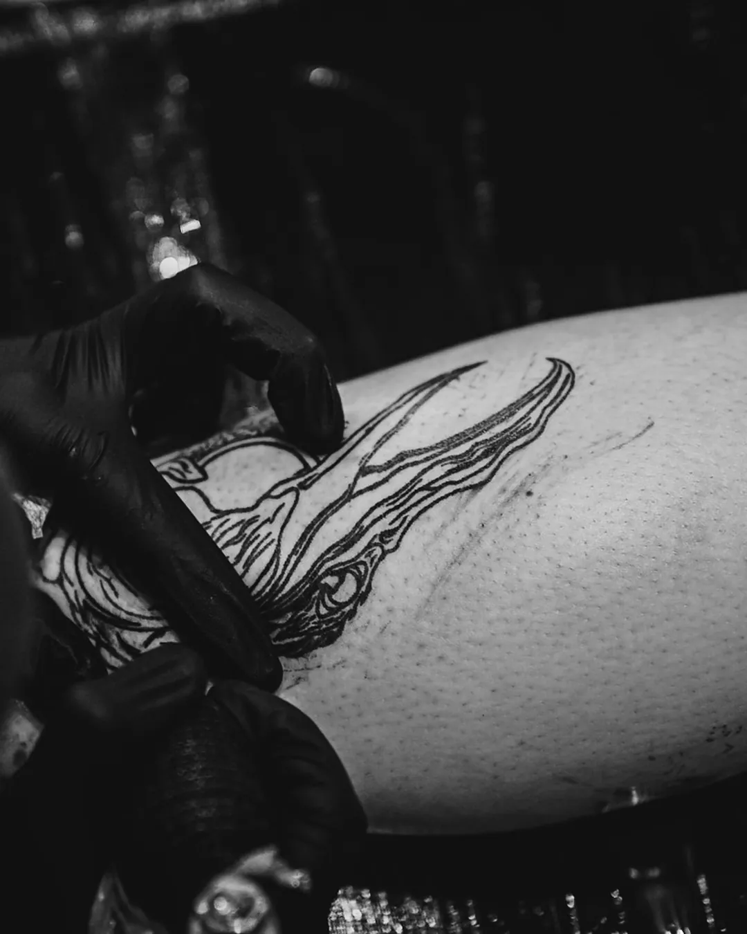 Close do traço de tatuagem sendo puxado sobre o estêncil na perna, em luz quente e baixa